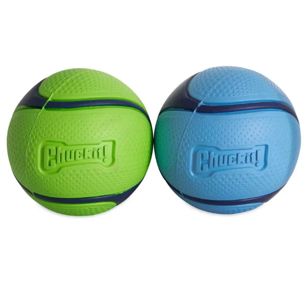 ChuckIt Sniff Fetch Ball Dog Toy Medium