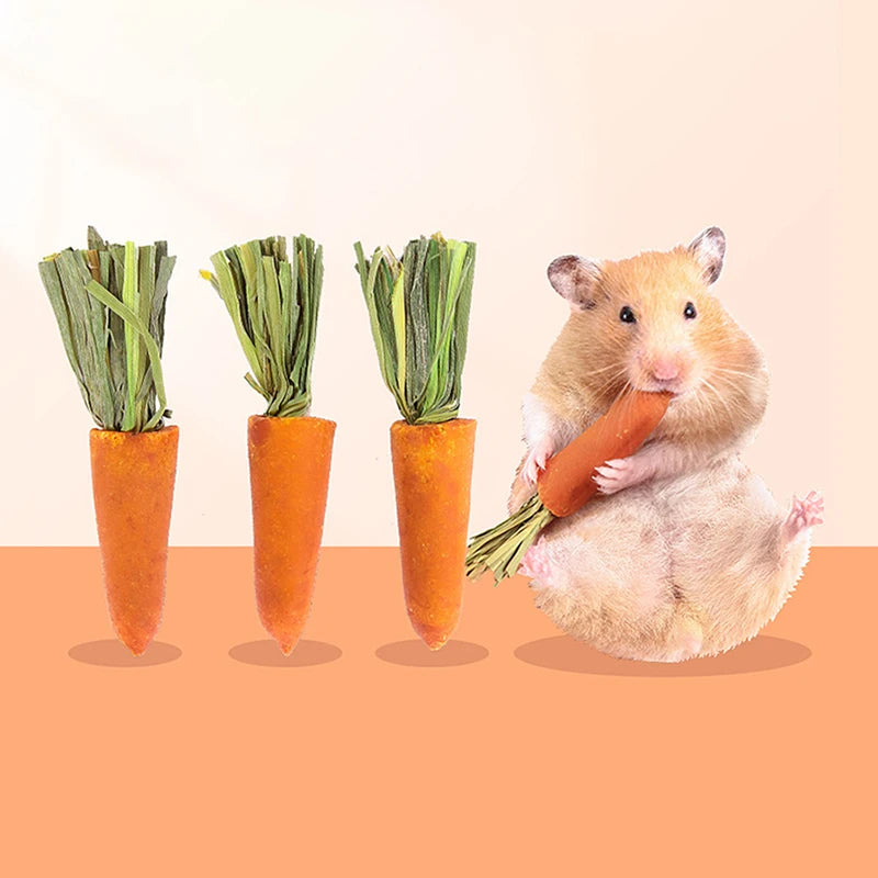 3 Pcs Hamster Carrot Teething Supplies Grass Cake Toy All Natural Nutritious Carrot Rabbit Golden Snacks