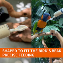 鳥用鸚鵡餵食器湯匙配手動注射器幼鳥奶藥餵食注射器配軟餵食管幼鳥餵食