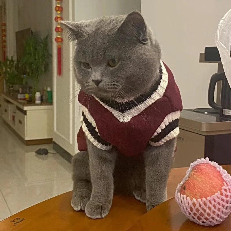 Pet Solid Costume  Cat Clothes Autumn Winter Jacket Christmas Sweater for Small Dog Cats Kitten Clothing Puppy Vest Kitty Outfit