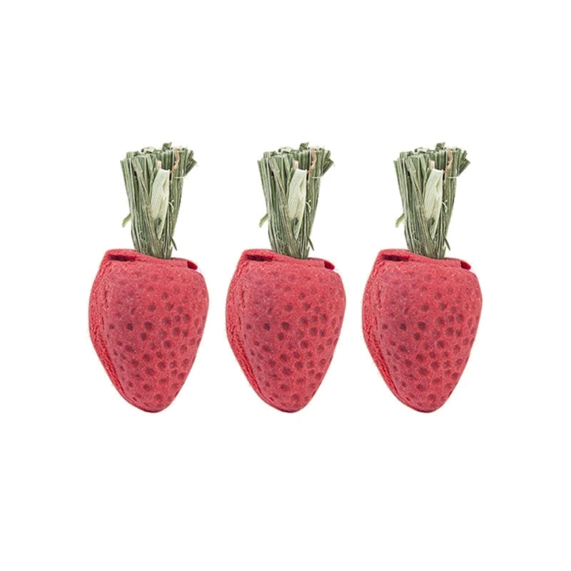 Guinea Pigs Hamster Rabbit Teeth Fruit Grinding Biscuit Small Pet Chew Toy Drop Shipping