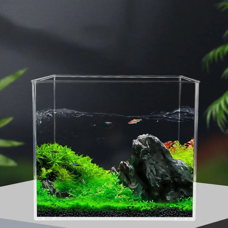 Small Nano Tall Rimless Tank, Small Glass Fish Tank, Small Betta Fish Tank, Small Aquarium, Min Aquarium, Betta Tank