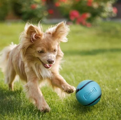 ChuckIt Sniff Fetch Ball Dog Toy Medium
