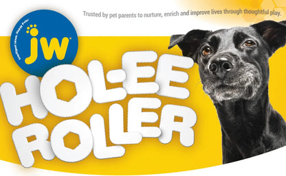 JW Hol-ee Roller Dog Fetch Treat Dispenser Puzzle Ball
