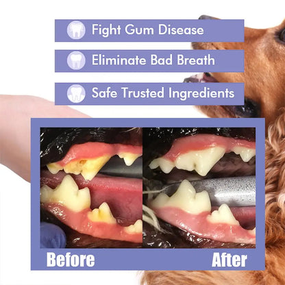 Pet Oral Care Spray – Dog Breath Freshener & Teeth Cleaner 30ml