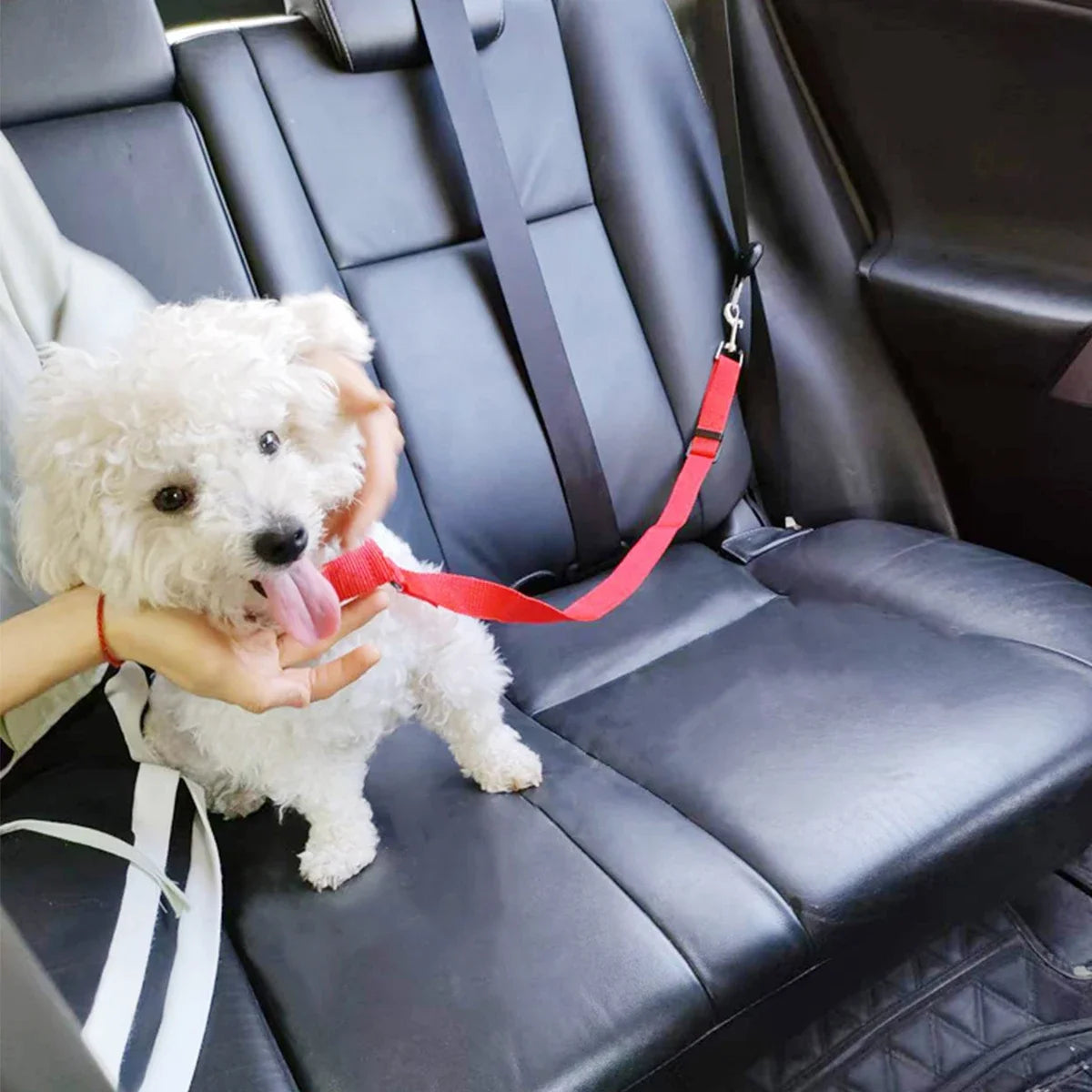 Solid Color Two-in-one Pet Car Seat Belt Nylon Lead Leash Backseat Safety Belt Adjustable Dogs Harness Collar Pet Accessories