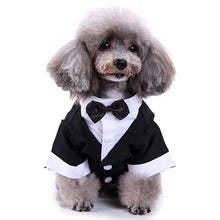 狗狗禮服正式狗狗服裝襯衫服裝婚禮服裝派對領結套裝適用於狗狗貓咪服裝生日聖誕節寵物服裝