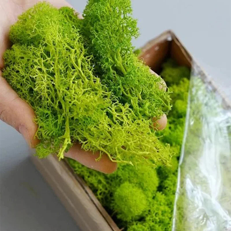 Artificial Green Plants Fake Grass Eternal Life Moss Grassfor Home Living Room Garden Decor Mini Landscape DIY Crafts 200g