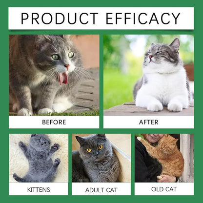 Nutrition Health Products For Cat Health Care Product For Cat Health Products For Cats Supplementing Nutrition For Elderly Cats