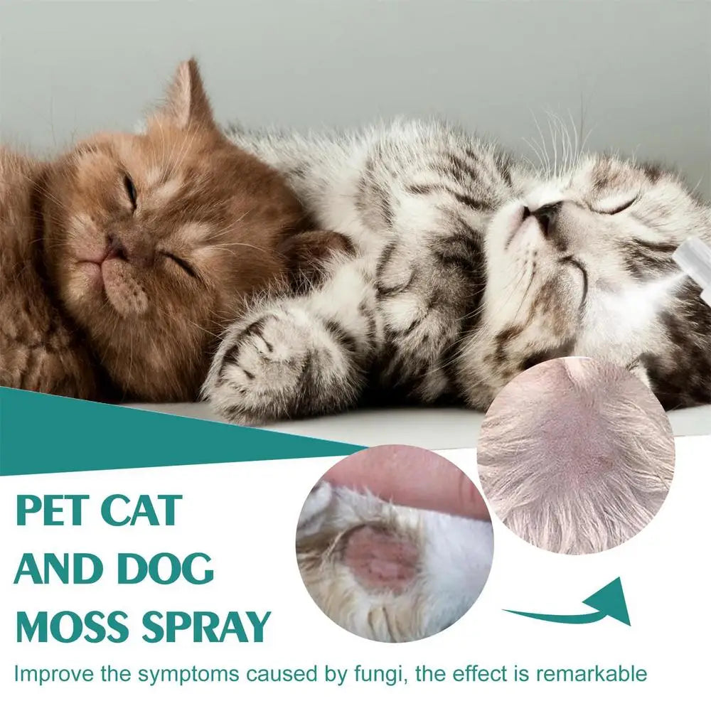 Pet Skin Care Spray 30ml Dogs and Cats Skin Problems Moss Spray Pet Cleaning Care Anti-Itch Spray Dog Cat Healthy Care Supplies