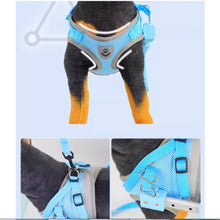 dog wheelchair, pet rehabilitation cart, adjustable dog wheelchair, aluminum pet wheelchair, mobility aid for dogs, cat wheelchair, disabled pet assist cart, small dog wheelchair, medium dog wheelchair, pet mobility support