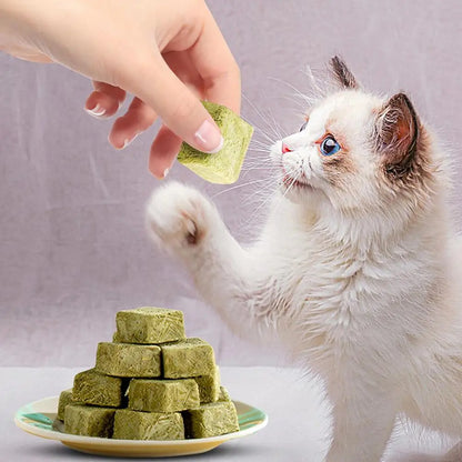 60g Cat Teeth Edible Catnip Toy Cat Grass Snack Natural Freeze Dried Pet Teething Molars Stick Natural Grass Snack for Cat