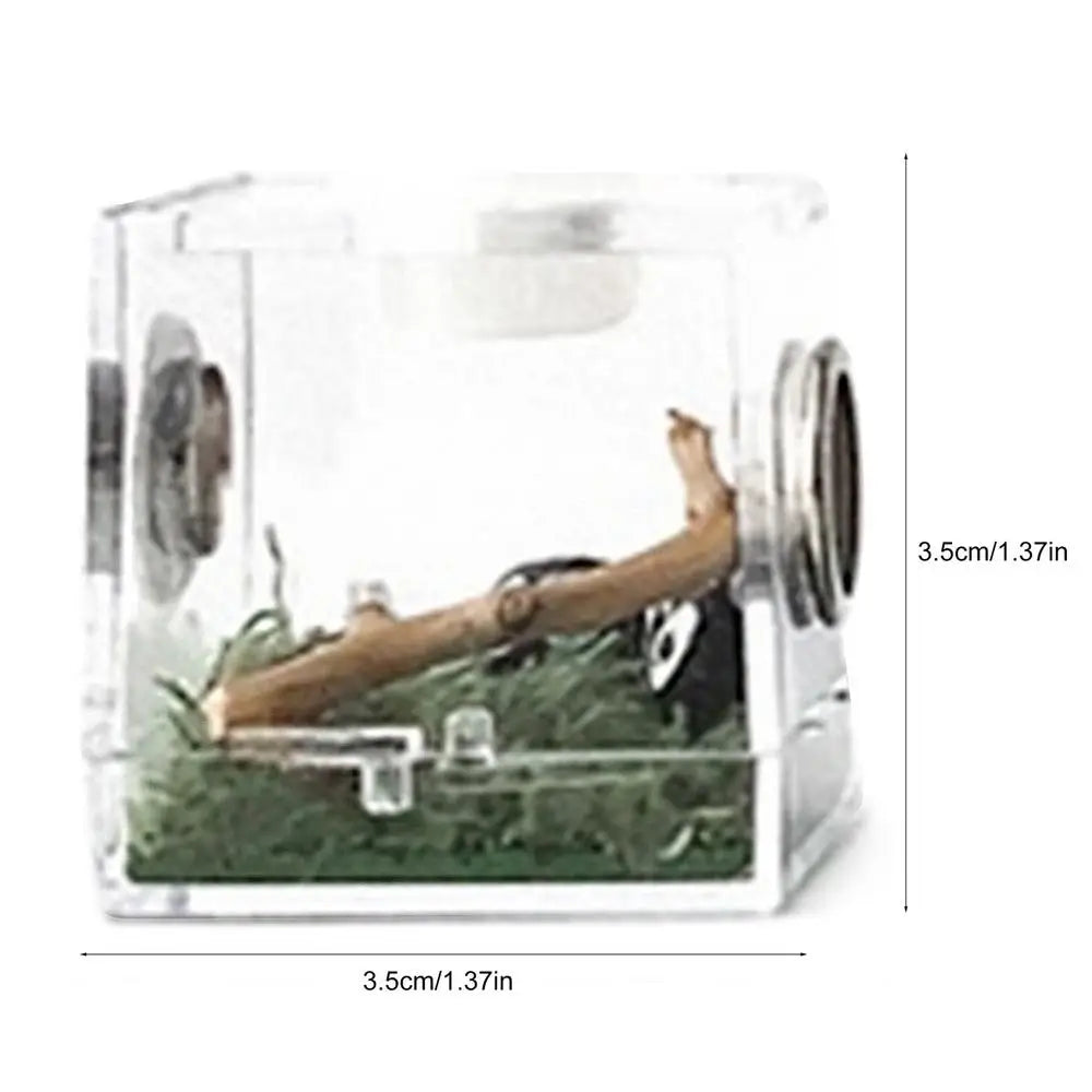 Small Reptiles Breeding Box Clear Acrylic Cage Habitat Insect Feeding Box Terrarium Tank Escape Proof For Jumping Spider