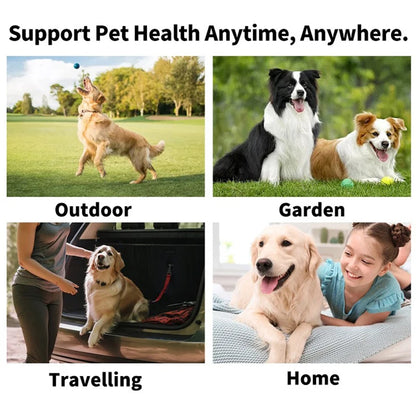 Pet cleaning products Disposable finger toothbrush Pet teeth cleaning finger covers wet wipes  Dog and cat oral cleaning