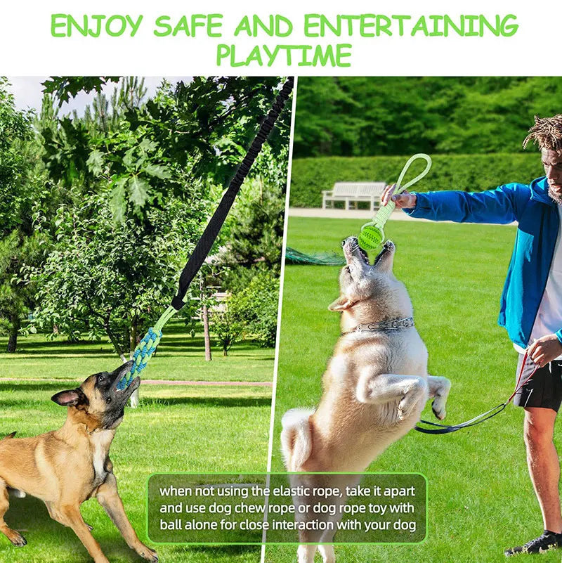 Interactive Dog Toy Spring Rope Dogs Outdoor and Indoor Hanging Pull Rope Ball Bite Resistant Chew Toys Training Pet Accessories