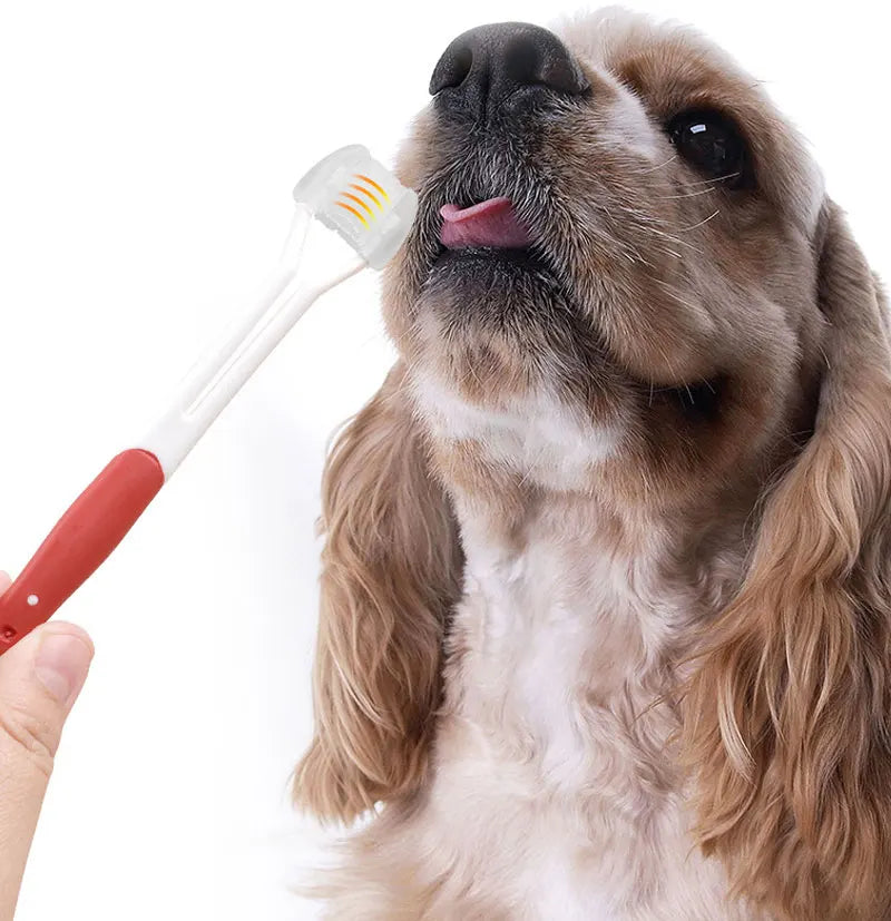 3面ソフト犬歯ブラシヘッド歯ブラシ口腔衛生テディクリーニング犬猫ブラシ口臭歯ケアツールクリーニングマウス