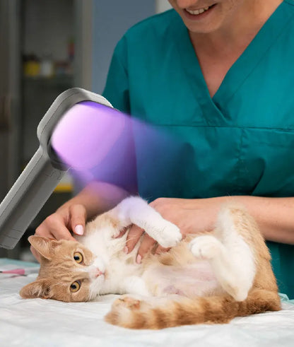 Woods Light Skin Examination For Cat Dog Ringworm Handheld UV Wood's lamp Skin Fungus Detector Vitiligo Pityriasis Versicolor