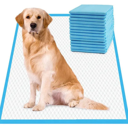 Dog Training Pee Pads – 20–100pcs Absorbent Pet Diapers