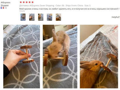 Cute Rabbit Roller Toys Natural Wooden Pine Dumbells Unicycle Bell Chew Toys for Guinea Pigs Rat Small Pet Molars Supplies