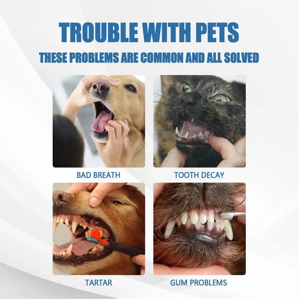 Pet Tartar Remover Natural Plaques Remover For Dogs Cats Freshen Breath Foam For Dogs Cats Support Healthy Gums Pet Care Product