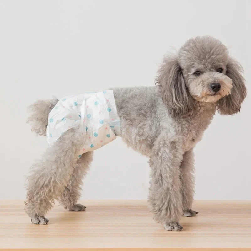 Female Dog Diaper for Teddy, Leakproof Nappies, Super Absorption, Sanitary Pants, Pet Menstrual, Physiological Pants, 10Pcs