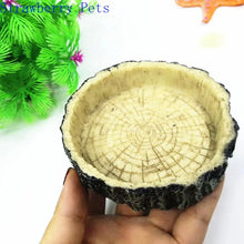 樹脂水族箱寵物爬蟲餵食器碗盆食物水盆爬蟲龜陸龜蝎子蜥蜴螃蟹用品 10 厘米