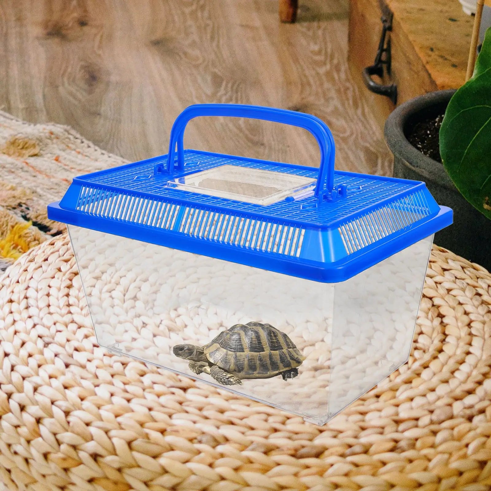 Plastic Carrier Box Turtle Tank for Breeding Feeding Lizard Gecko Tortoise Terrarium Lid Aquarium Reptile Habitat Vivarium Box