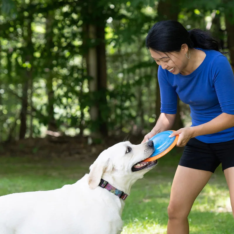 HERO Dog Toys Flying Disc Squeaky Interactive Dog Toy Suitable for Medium or Large Dogs