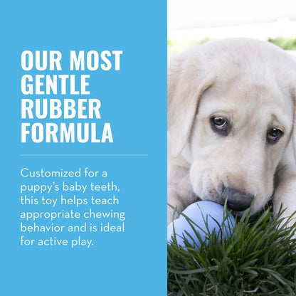 KONG Puppy - Natural Teething Rubber Chew Toy for Dogs  - Chew & Fetch Toy for Puppies - for Small Puppies - Blue