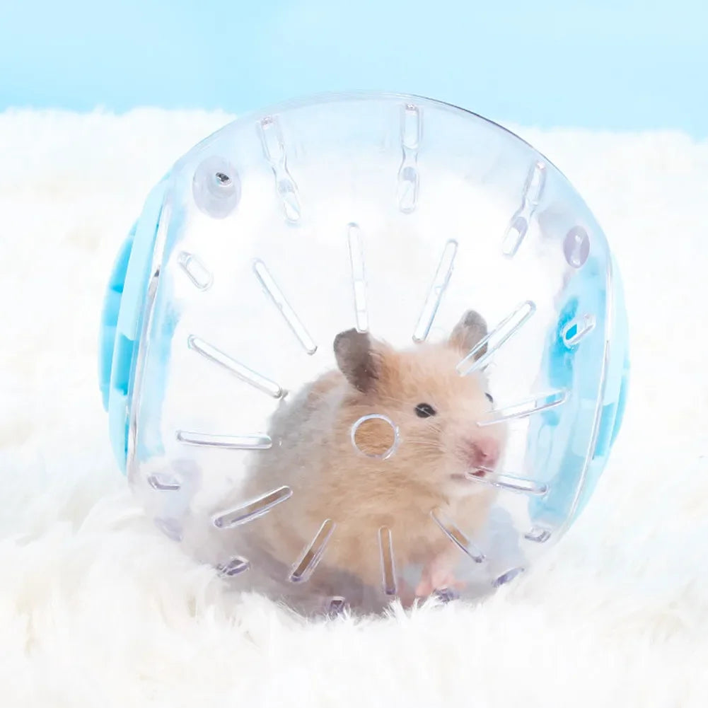 Hamster - Plastic Outdoor Sport Ball Grounder Small Pet Mice Jogging Ball Toy Hamster Gerbil Exercise Ball Play Toy Small Pet Supplies