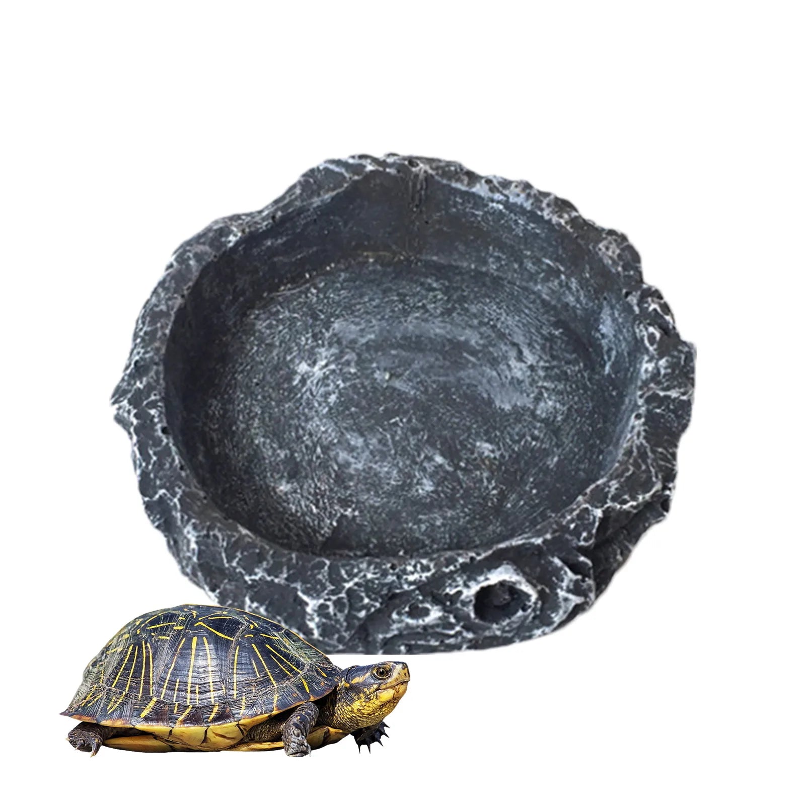 1PC Pet Feeder Bowl Tortoise Drinker Reptile Feeder Dispenser Landscaping Decoration Lizard Water Feeder NEW