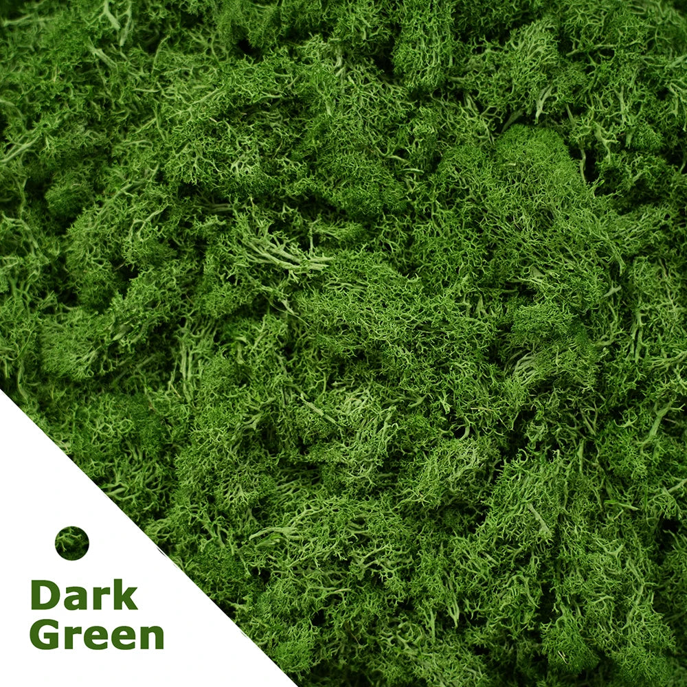 Artificial Green Plants Fake Grass Eternal Life Moss Grassfor Home Living Room Garden Decor Mini Landscape DIY Crafts 200g