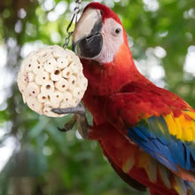 インコの噛むおもちゃボール チューシュレッド 採餌用 鳥​​かごアクセサリー インコ、ラブバード、セキセイインコ、コニュア、オカメインコ用