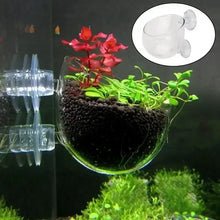 魚水草育苗盆玻璃水族箱裝飾盆波爾卡水盆水草種植缸杯水族箱配件