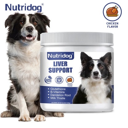 Liver Support Chews for Dogs With Milk Thistle & Curcumin - Liver Detox, Kidney & Hepatic Support -Chicken Flavor 120 Soft Chews