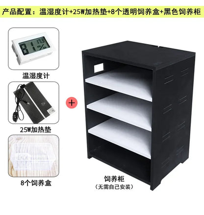 Pet Reptiles Acrylic Feeding Box 4 Layers Breeding Tank Insect Spider Turtle Cage with Heating Pad and Thermometer for Amphibian