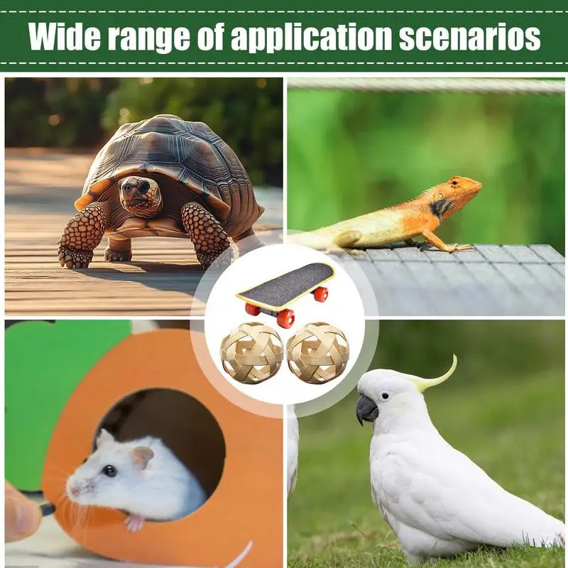 Mini Small Skateboard For Turtles Parrot Toy with 2 Turtle Feeding Ball Fruit Vegetable Holder Finger Skate Board For Tortoise