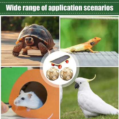 Mini Small Skateboard For Turtles Parrot Toy with 2 Turtle Feeding Ball Fruit Vegetable Holder Finger Skate Board For Tortoise