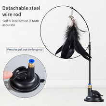 互動式貓玩具免持貓棒逗貓棒小貓逗貓棒玩具吸盤鳥/羽毛貓棒寵物用品