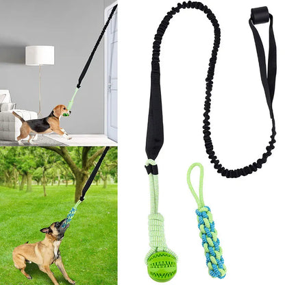 Interactive Dog Toy Spring Rope Dogs Outdoor and Indoor Hanging Pull Rope Ball Bite Resistant Chew Toys Training Pet Accessories