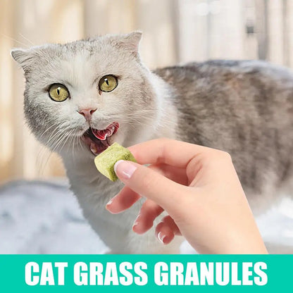 60g Cat Teeth Edible Catnip Toy Cat Grass Snack Natural Freeze Dried Pet Teething Molars Stick Natural Grass Snack for Cat