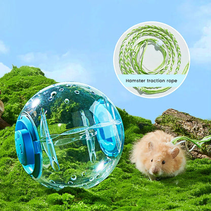 倉鼠健身球透明倉鼠跑步球輪帶牽引繩適用於小動物寵物用品14公分/18厘米