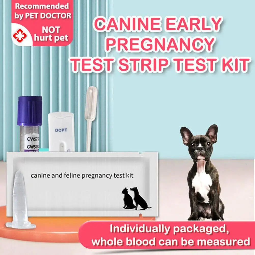 Dog Pregnancy Test Card Dog Pregnancy Test Card Canine Pregnancy Test Pet Pregnancy Test Stick Pet Accessories