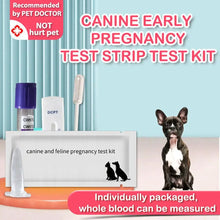 Dog Pregnancy Test Card Dog Pregnancy Test Card Canine Pregnancy Test Pet Pregnancy Test Stick Pet Accessories