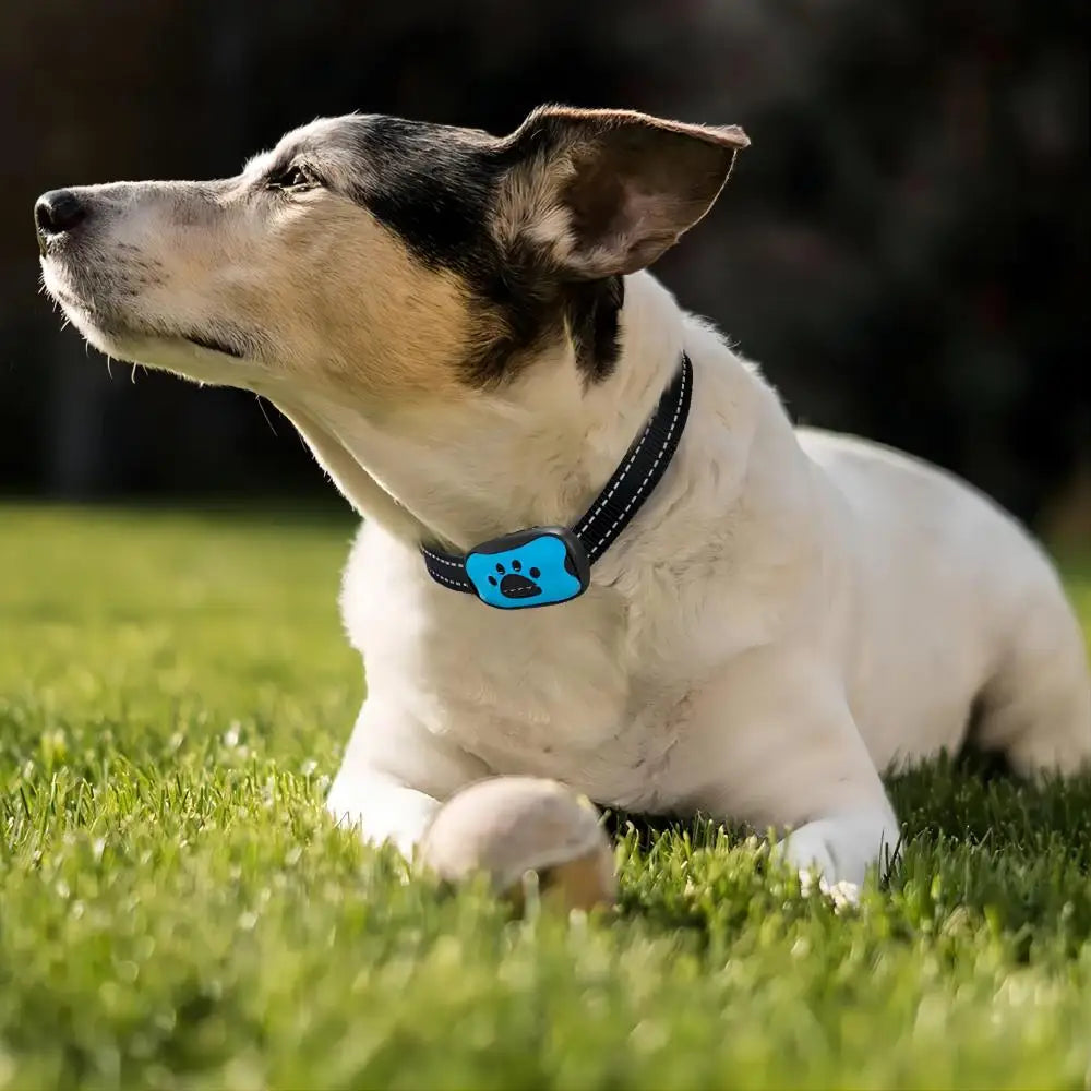 Dog Training Collar Anti-barking Collar Automatic Anti Bark Dog Bark Collar 2 Modes Adjustable Dog Bark Stopper Collar for Dogs