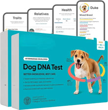 Breed Health Kit (2 Pack) Dog DNA Test Discover Breed  Ancestry Relative Finder  Genetic Health Traits COI Pet Test Strips