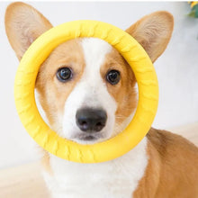 狗狗環玩具 堅不可摧 咀嚼飛行漂浮訓練工具 適合小型中型大型犬 投擲捕捉飛行