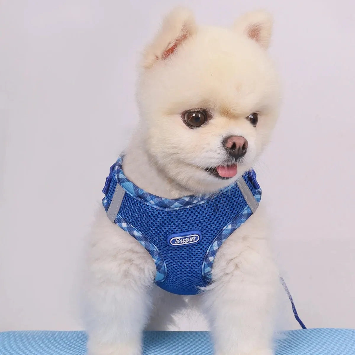 Supet 1 件組狗背帶，防拉扯，寵物背帶，可調節，易於控制，適合小型、中型犬