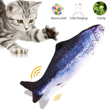 寵物電動貓玩具魚寵物貓玩具模擬魚搖擺跳舞魚玩具趣味貓玩具用品USB充電