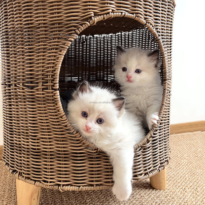 Brown Rattan Cat Cave Bed with Legs, Handwoven Pet Table